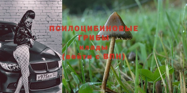 spice Абинск