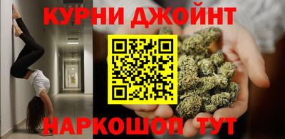 индика Пугачёв