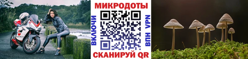 МЕГА вход  наркота  Хасавюрт  Галлюциногенные грибы Magic Shrooms 