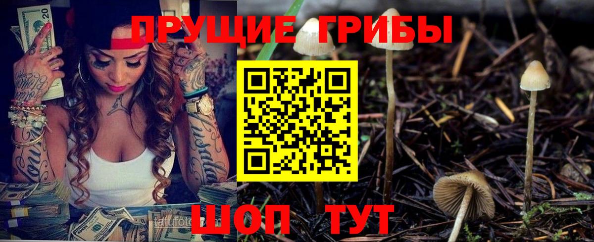 Галлюциногенные грибы GOLDEN TEACHER  Псилоцибиновые грибы GOLDEN TEACHER  Вход с VPN  закладка  Хасавюрт 